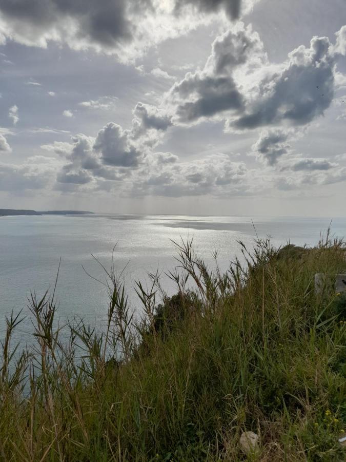 BurinhosaA Casinha Da Aguieira Na Lands Hause L6公寓 外观 照片